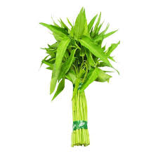 Kangkung