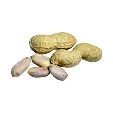 Kacang Tanah