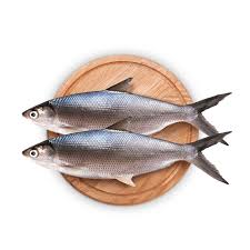 Ikan Bandeng