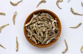 Ikan Teri